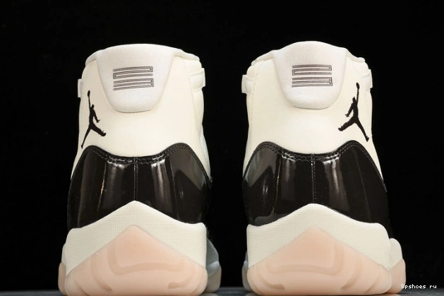 AR0715-101 11   Retro Jordan Neapolitan 0912